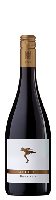 2024 Ilbesheim Pinot Noir / Weingut Siegrist GdbR / Leinsweiler/Südpfalz | &copy; Weingut Siegrist GdbR