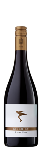 2024 Ilbesheim Pinot Noir / Weingut Siegrist GdbR / Leinsweiler/Südpfalz | &copy; Weingut Siegrist GdbR