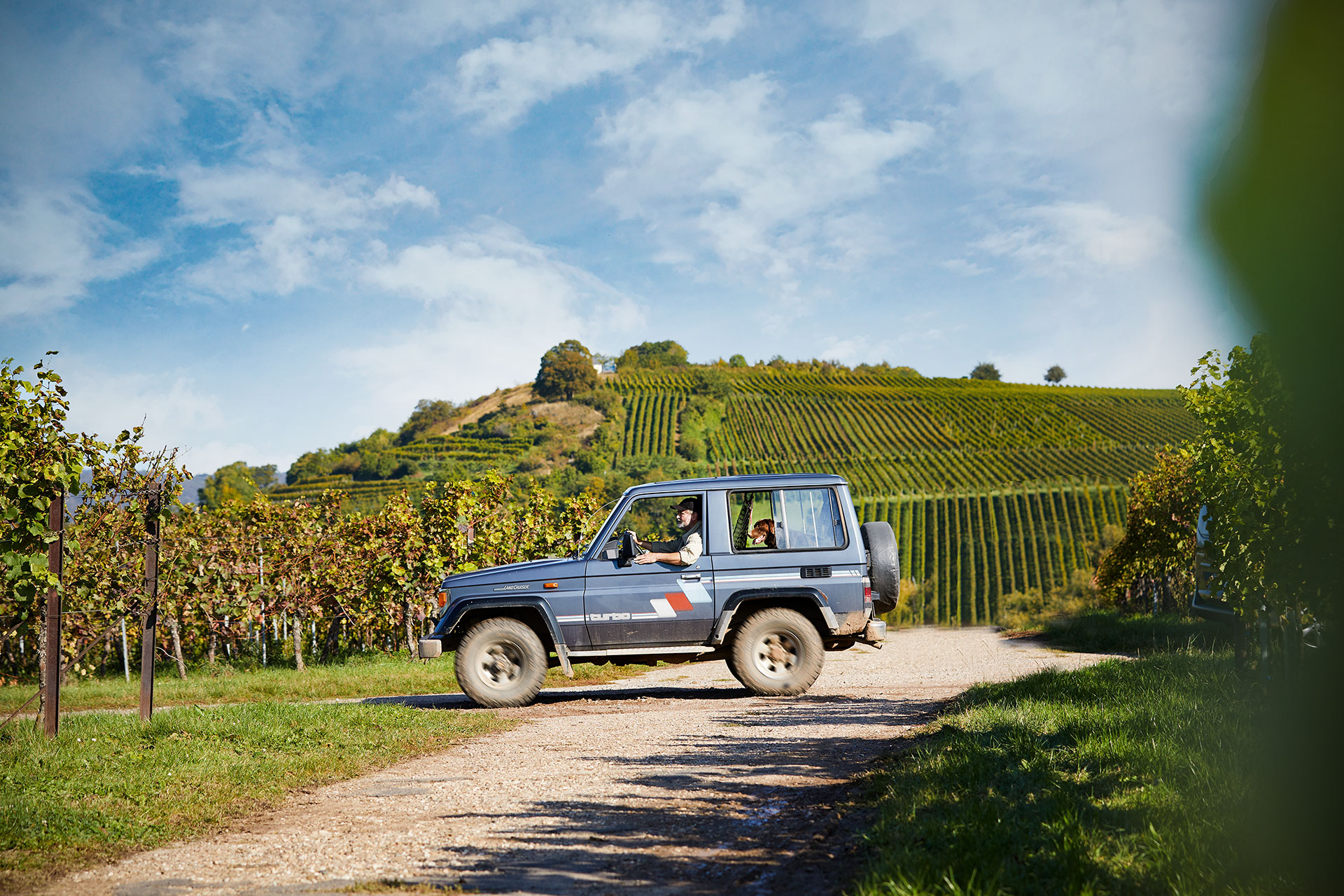Die Große Lage der Kleinen Kalmit in Ilbesheim liefert Jahr für Jahr kostbare Spätburgundertrauben, aus denen große Weine entstehen | © Weingut Siegrist GdbR