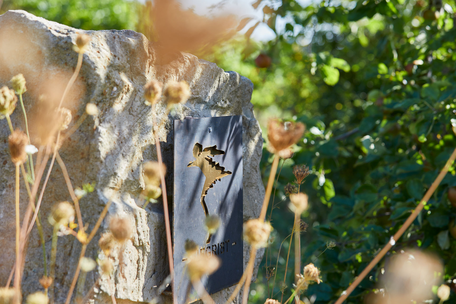 Einzig naturnaher Weinbau führt zu Spitzenergebnissen | © Weingut Siegrist GdbR